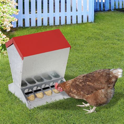 large metal automatic chicken feeders